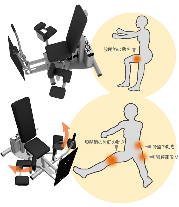 グローン マイルダー content groin02